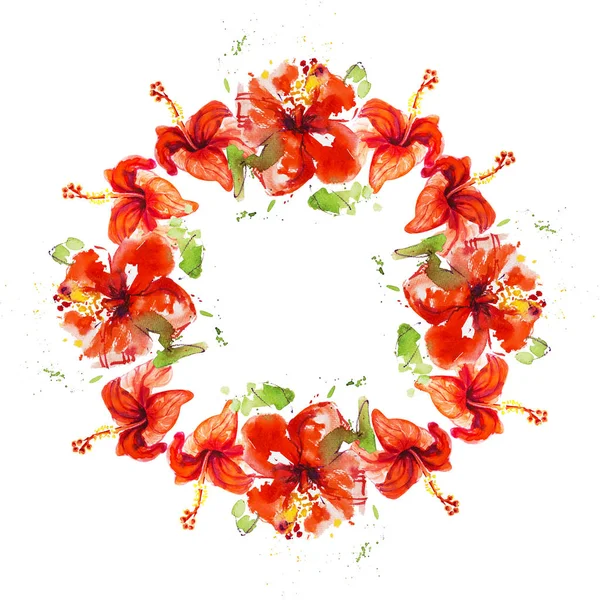 Hibiskus Blommor Ram Isolerad Vit — Stockfoto