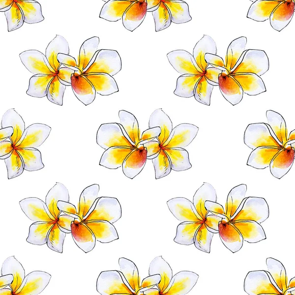 Plumeria Flowers Seamless Background Pattern — Stock Photo, Image