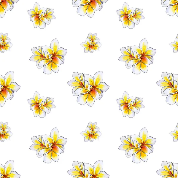 Plumeria Flowers Seamless Background Pattern — Stock Photo, Image