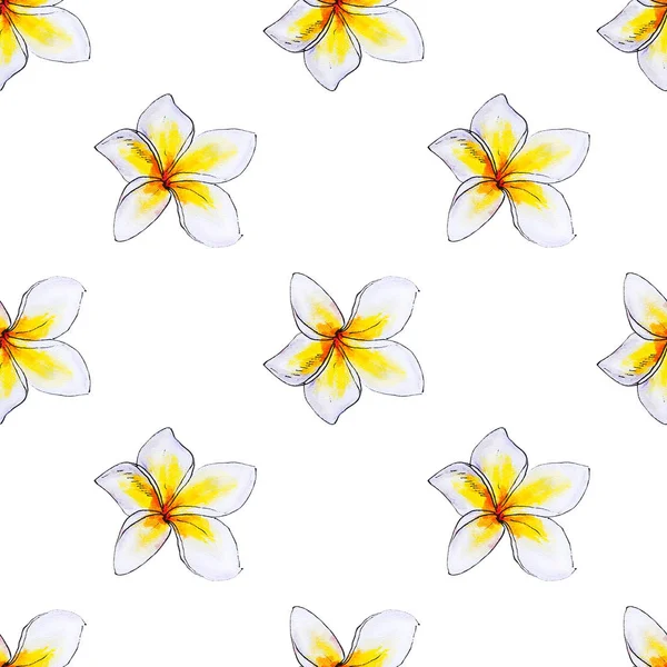 Plumeria Flowers Seamless Background Pattern — Stock Photo, Image