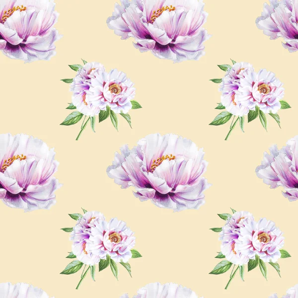Белый Пион Цветы Бесшовная Фоновая Иллюстрация — стоковое фото