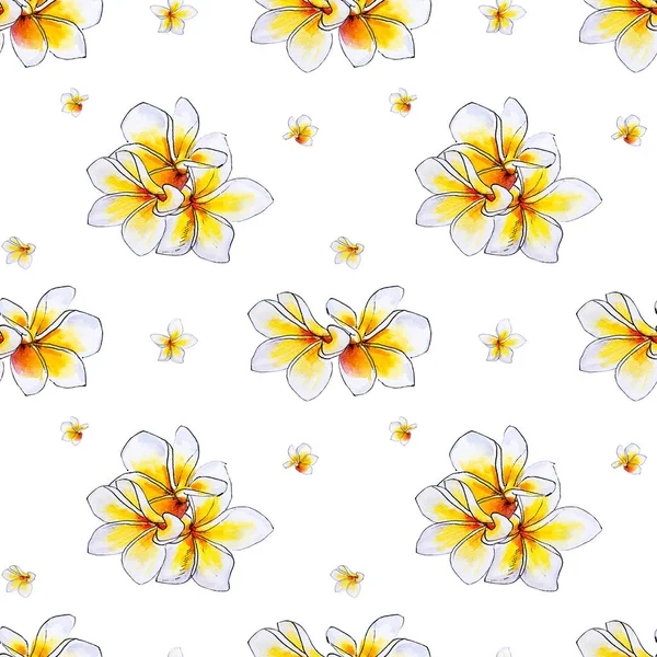 Plumeria Kwiaty Bez Szwu Wzór Tła — Zdjęcie stockowe
