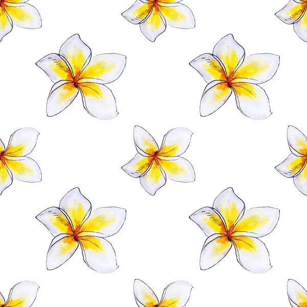 プルメリア花シームレスな背景パターン — ストック写真