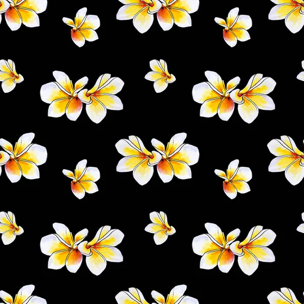 Plumeria Flores Sem Costura Fundo Padrão — Fotografia de Stock