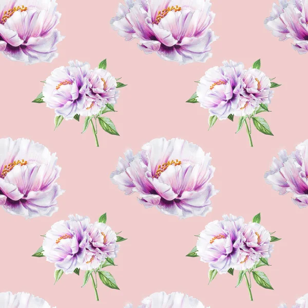 Flores Peonía Blanca Ilustración Fondo Sin Costuras — Foto de Stock