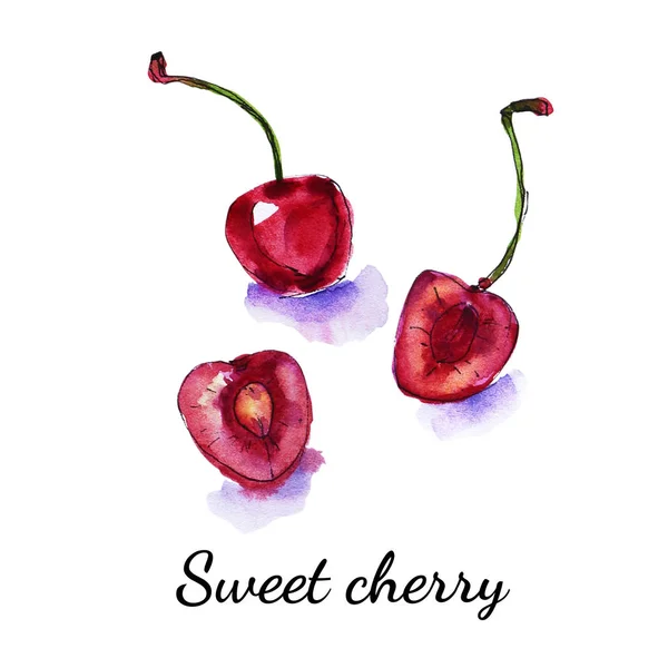 Cerises Mûres Aquarelle Illustration Sur Blanc — Photo