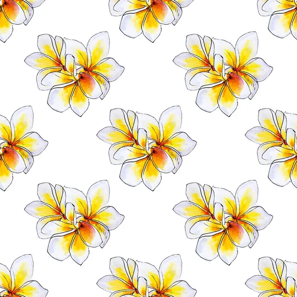 Plumeria Flowers Seamless Background Pattern — Stock Photo, Image