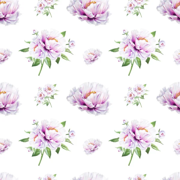 Flores Peonía Blanca Ilustración Fondo Sin Costuras —  Fotos de Stock