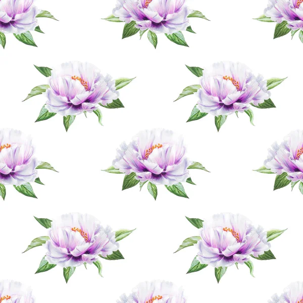 beyaz şakayık çiçekleri pürüzsüz arkaplan resimlemesi