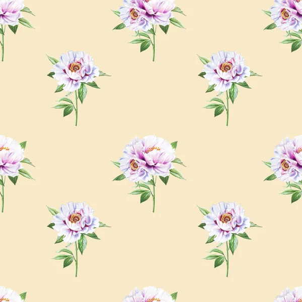 White Peony Flowers Seamless Background Illustration — Stock Photo, Image