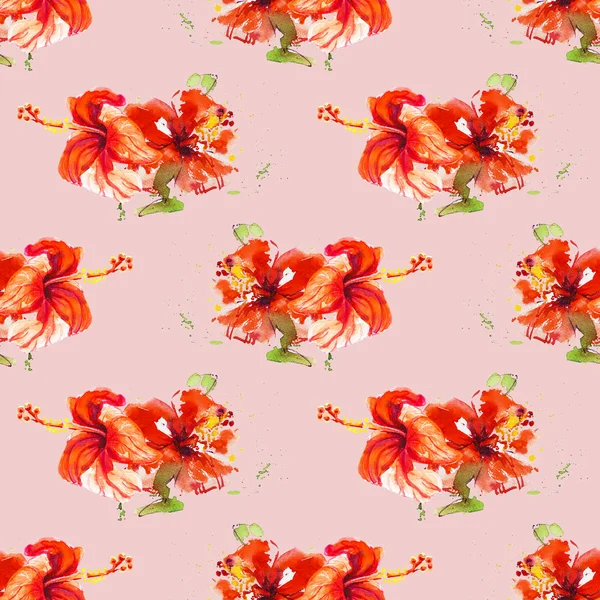 Hibiskus Blommor Ram Isolerad Vit — Stockfoto