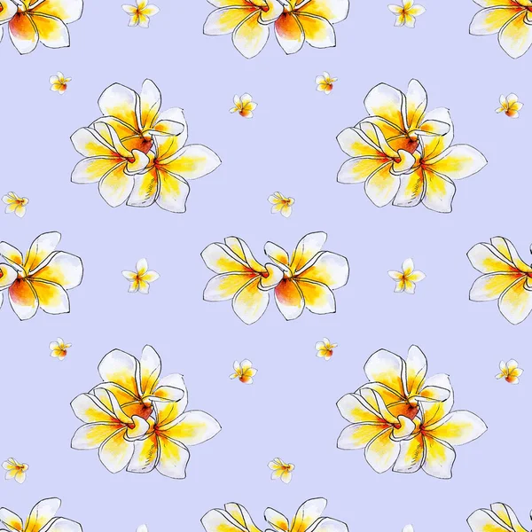 Plumeria Flowers Seamless Background Pattern — Stock Photo, Image