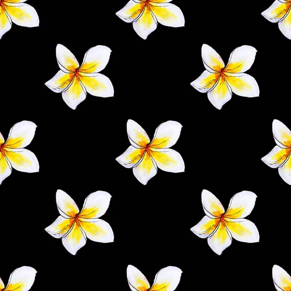 Plumeria Flores Sem Costura Fundo Padrão — Fotografia de Stock