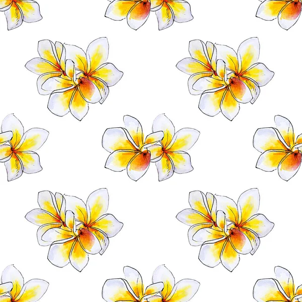Квіти Сливи Безшовний Фон Візерунок — стокове фото