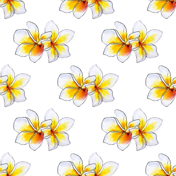 Plumeria Virágok Varrat Nélküli Háttér Mintázat — Stock Fotó