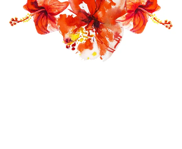 Hibiscus Flores Ilustración Sobre Fondo Blanco — Foto de Stock
