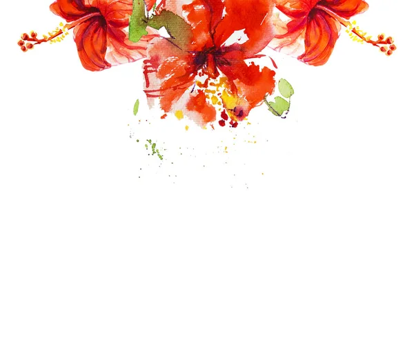 Hibiscus Fiori Illustrazione Sfondo Bianco — Foto Stock