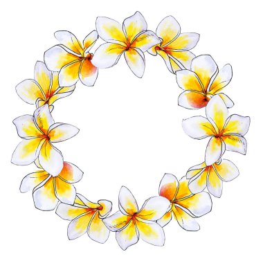 plumeria çiçek çerçeve beyaz izole
