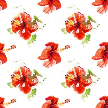 Hibiscus çiçek çerçevesi beyaz izole