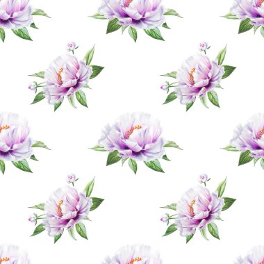 beyaz şakayık çiçekleri pürüzsüz arkaplan resimlemesi