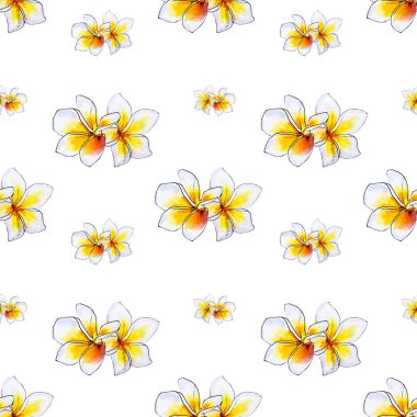 plumeria çiçekler ilerliksiz arka plan deseni