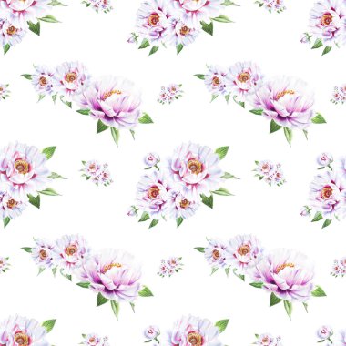 beyaz şakayık çiçekleri pürüzsüz arkaplan resimlemesi