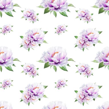 beyaz şakayık çiçekleri pürüzsüz arkaplan resimlemesi