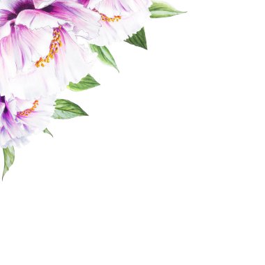 Beyaz arkaplanda beyaz şakayık çiçekleri çizimi