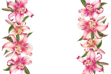 beyaz arka plan üzerinde pembe zambak çerçeve