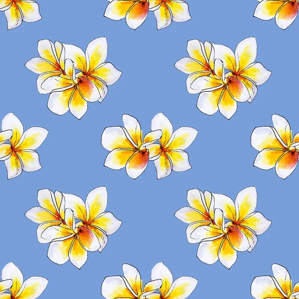 Plumeria Flores Patrón Fondo Sin Costuras — Foto de Stock