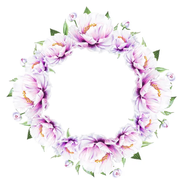 Beyaz arkaplanda beyaz şakayık çiçekleri çerçevesi