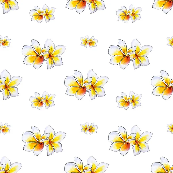 Plumeria Flowers Seamless Background Pattern — Stock Photo, Image