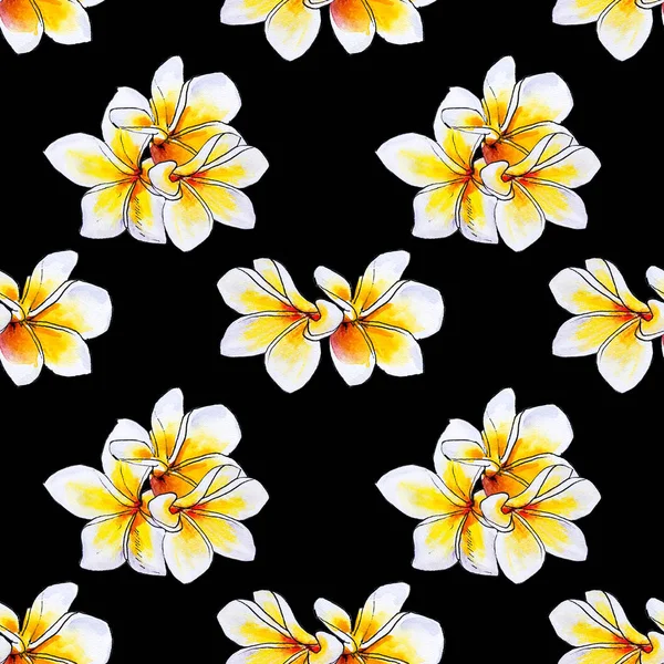 Plumeria Flores Sem Costura Fundo Padrão — Fotografia de Stock