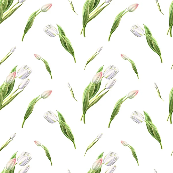 Bílé Tulipány Bezešvé Vzor Ilustrace — Stock fotografie