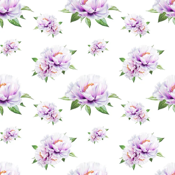 beyaz şakayık çiçekleri pürüzsüz arkaplan resimlemesi