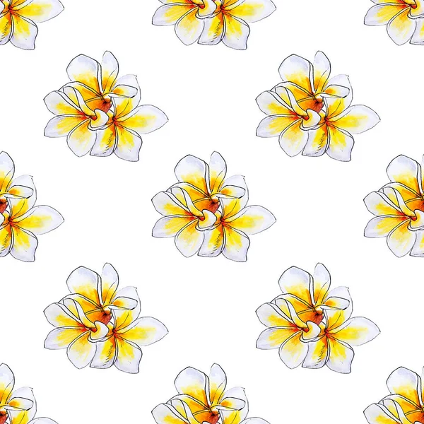 Plumeria Blommor Sömlös Bakgrund Mönster — Stockfoto