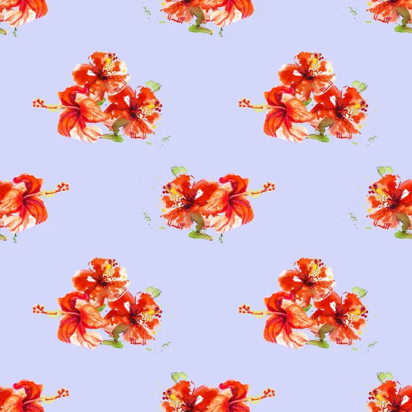 Hibiscus Çiçek Çerçevesi Beyaz Izole — Stok fotoğraf