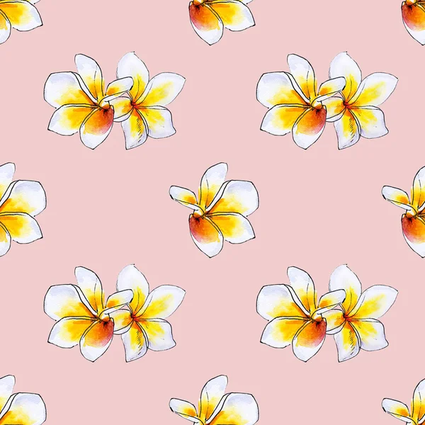 Plumeria Flowers Seamless Background Pattern — Stock Photo, Image