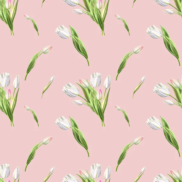 Білі Тюльпани Безшовна Ілюстрація Візерунка — стокове фото