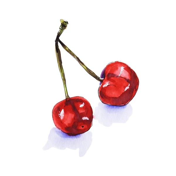 Cerises Mûres Aquarelle Illustration Sur Blanc — Photo