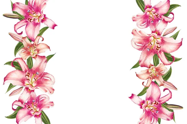 beyaz arka plan üzerinde pembe zambak çerçeve