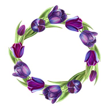 beyaz arka plan üzerinde lale çerçeve illüstrasyon