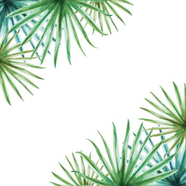 tropikal yaprak çerçeve, suluboya illüstrasyon