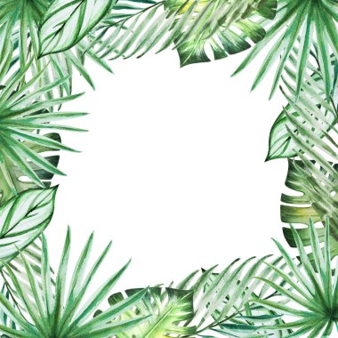 tropikal yaprak çerçeve, suluboya illüstrasyon
