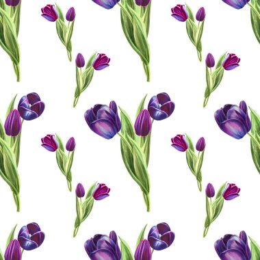 lale arka plan illüstrasyon, dikişsiz desen