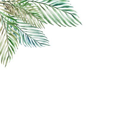 beyaz arka plan üzerinde tropikal yaprakları suluboya illüstrasyon