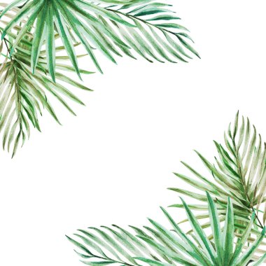 tropikal yaprak çerçeve, suluboya illüstrasyon