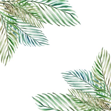 tropikal yaprak çerçeve, suluboya illüstrasyon