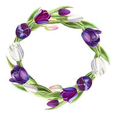 beyaz arka plan üzerinde lale çerçeve illüstrasyon