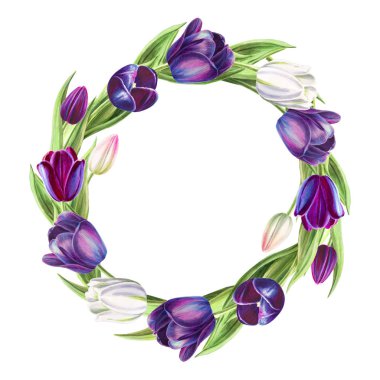 beyaz arka plan üzerinde lale çerçeve illüstrasyon